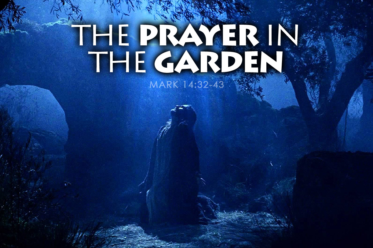 Mark 14 32 43 The Prayer In The Garden Thrive Through Christ Ministries