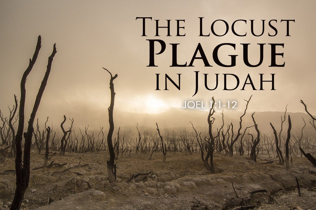 Joel 1:1-12 The Locust Plague in Judah