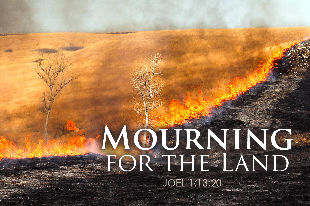 Joel 1:13-20 Mourning for the Land