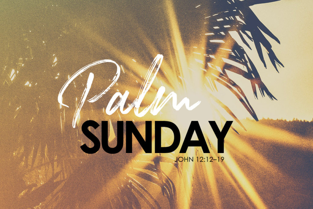 John 12:12-19 What Is Palm Sunday?