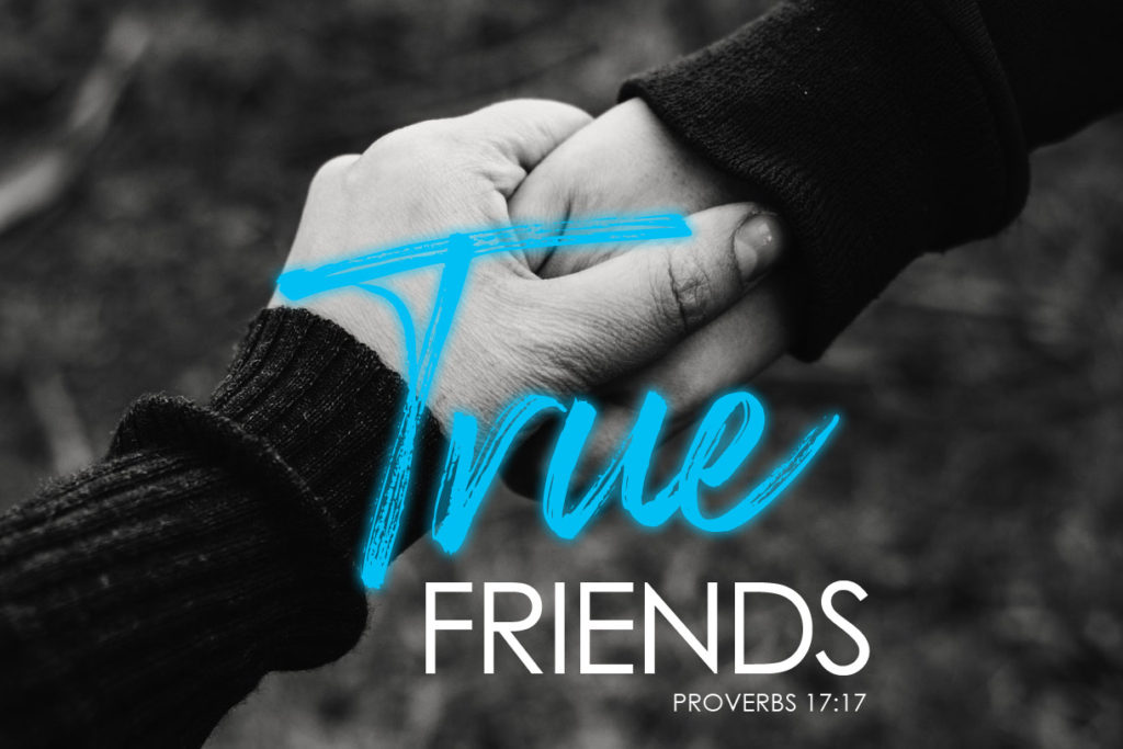 Proverbs 17:17 True Friends