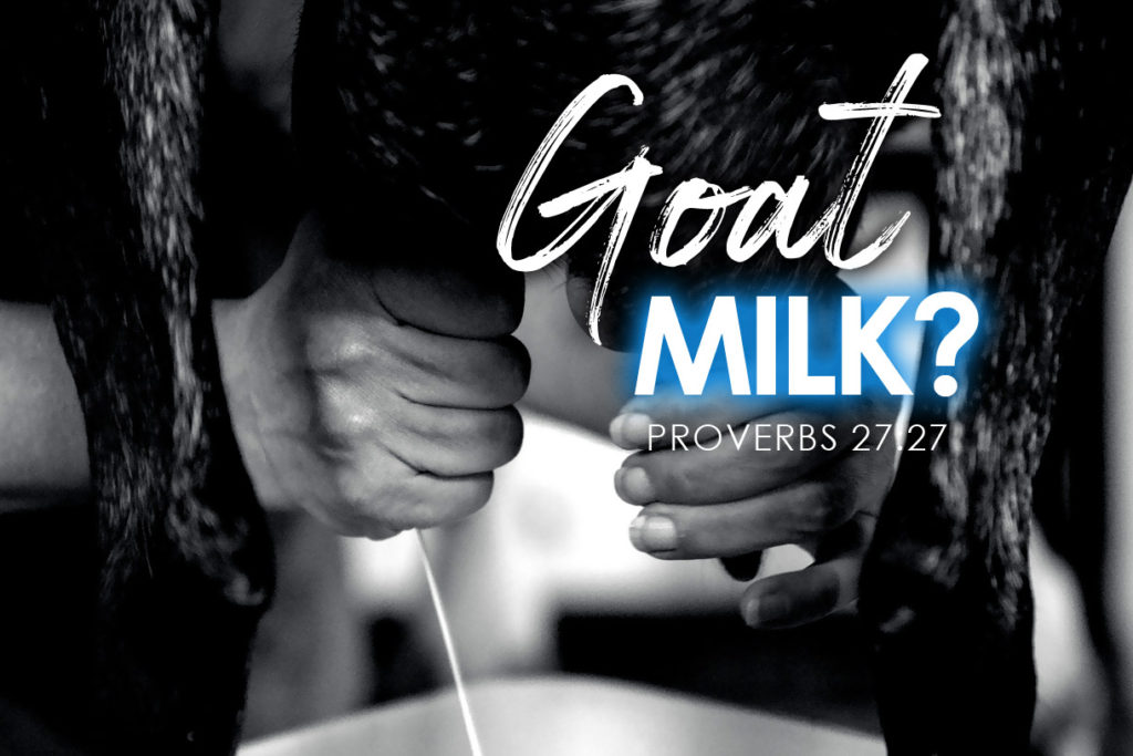 Prorverbs 27:27 Goat Milk