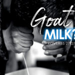 Prorverbs 27:27 Goat Milk