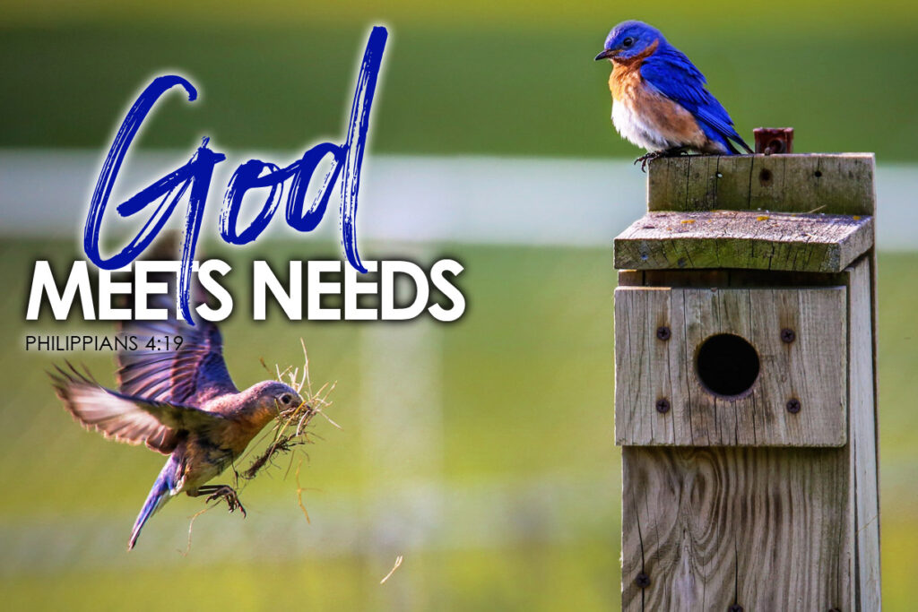 Philippians 4:19 God Meets Needs