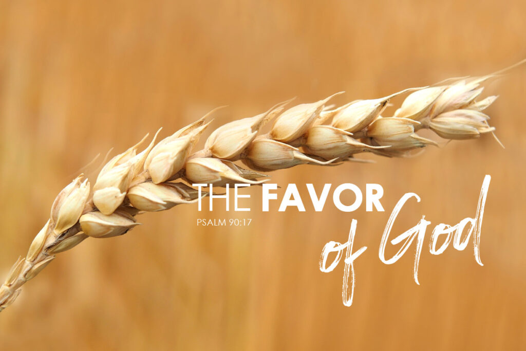 Psalm 90:17 The Favor Of God