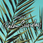 John 12:12-19 What Is Palm Sunday
